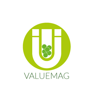 VALUEMAG-LOGO-IMAGE