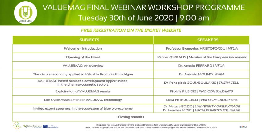 VALUEMAG Final workshop programme
